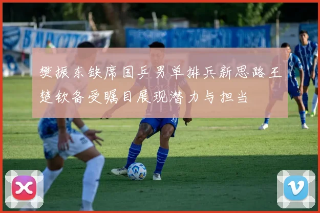 樊振东缺席国乒男单排兵新思路王楚钦备受瞩目展现潜力与担当